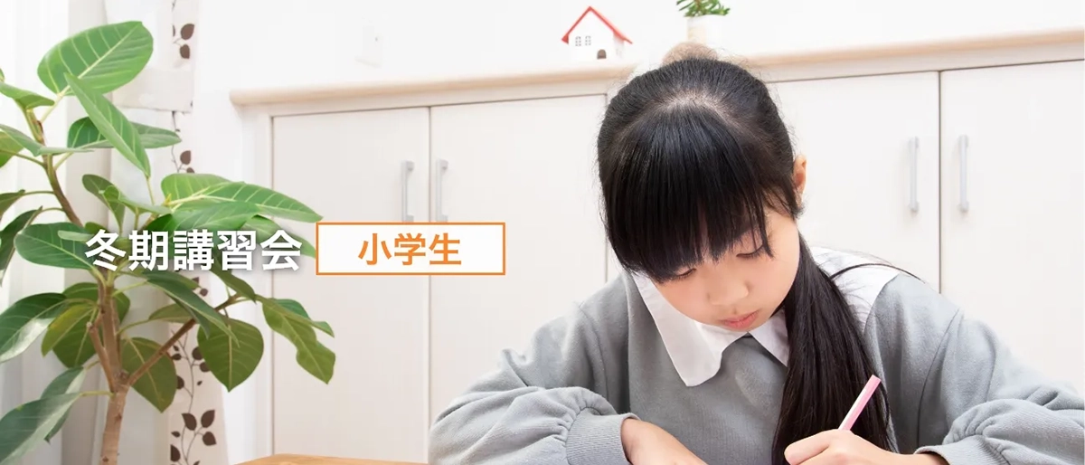 小学生の夏期講習