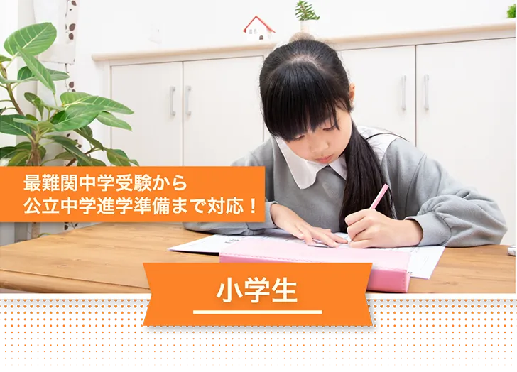 小学生