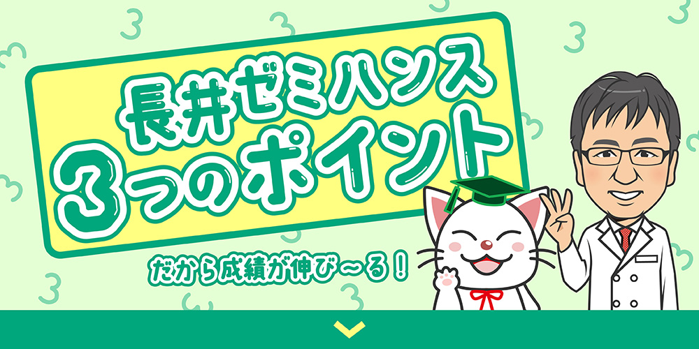 長井ゼミハンス３つのポイント