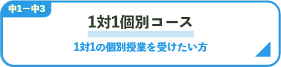 1対1個別コース