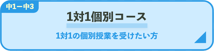 1対1個別コース