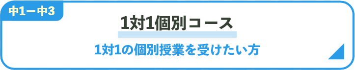 1対1個別コース