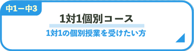 1対1個別コース