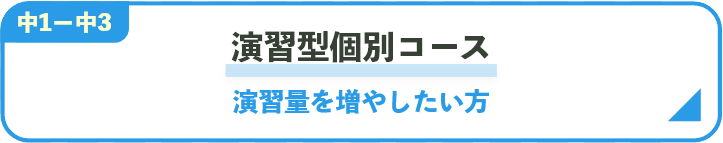 演習型個別コース