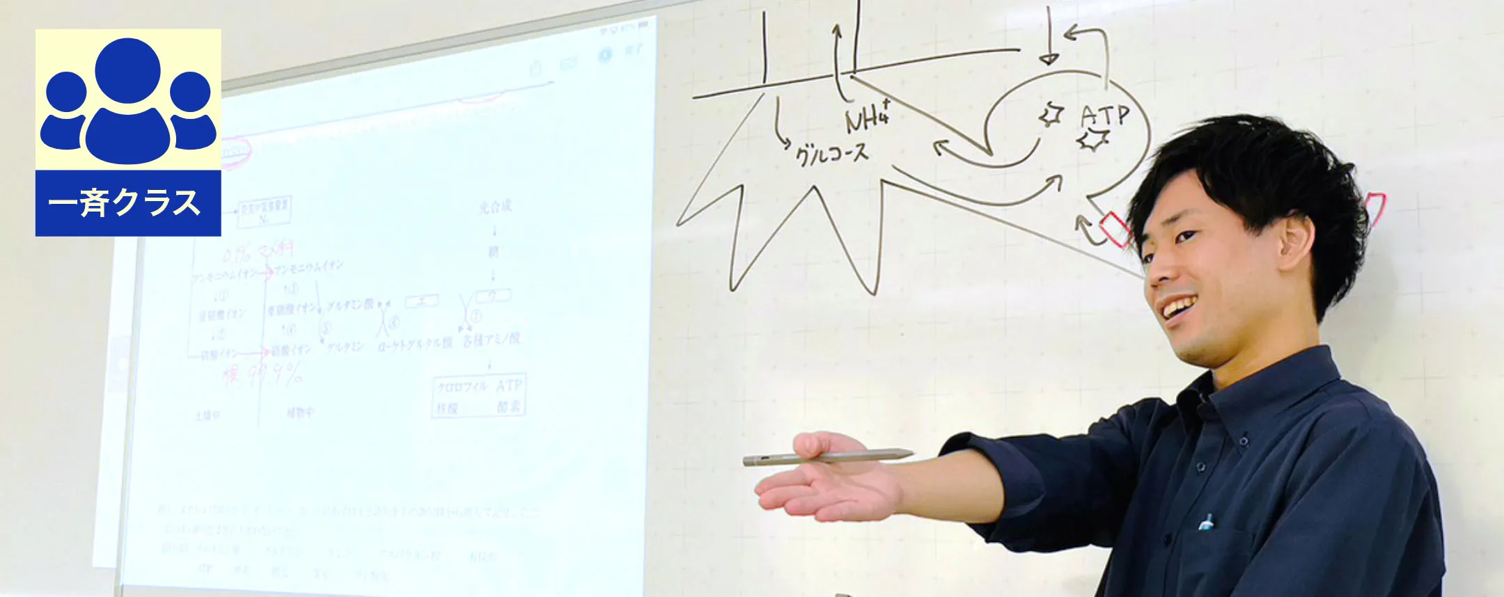 国公立医系学部コース