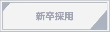 新卒採用